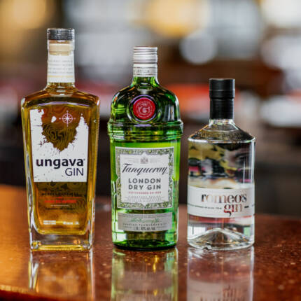 Gin 1 95